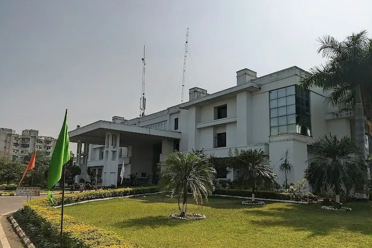 University
